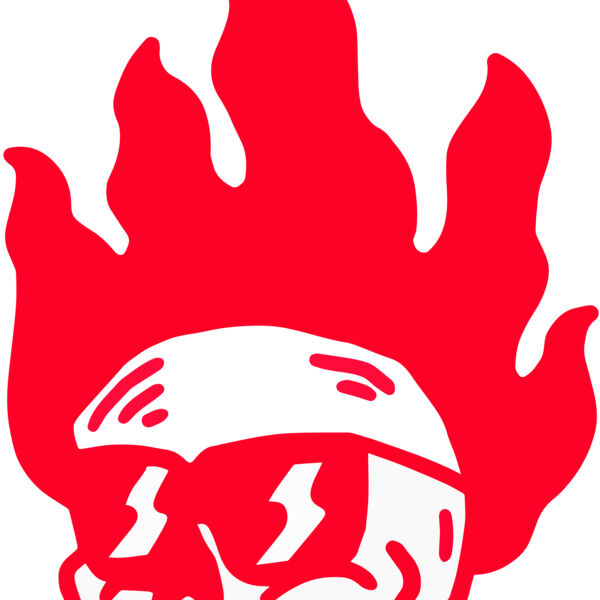 Elements Skulls logo template 51 Miniaturansicht