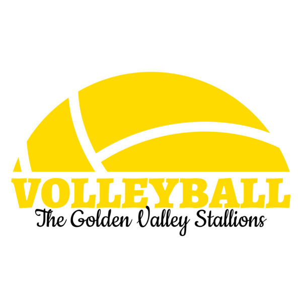 Volleyball 40 Miniaturansicht