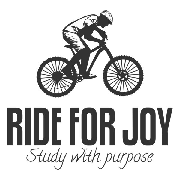 Bicycle 48 Miniaturansicht