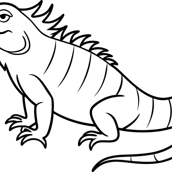 Iguana   Clipart 1 Miniaturansicht