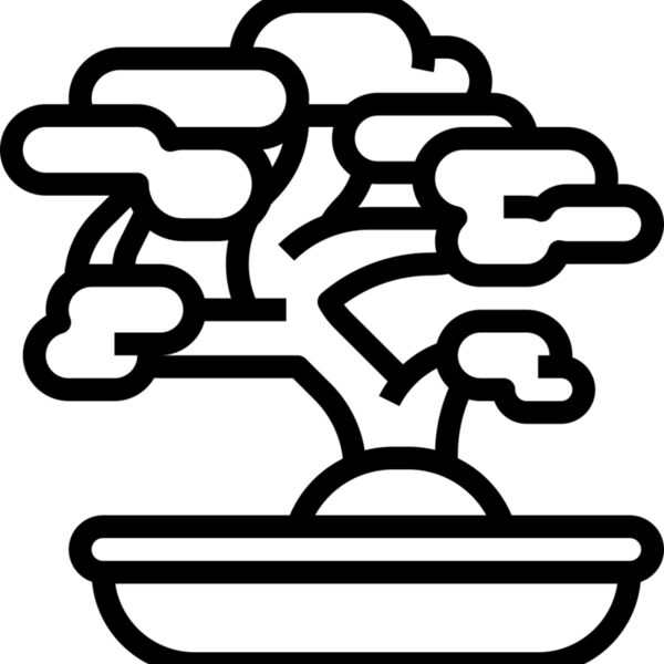 Bonsai Tree Miniaturansicht