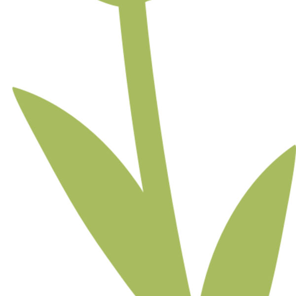 20 Flower Miniaturansicht