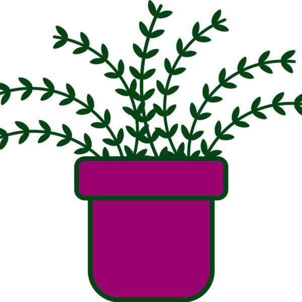 Plant 3 Miniaturansicht