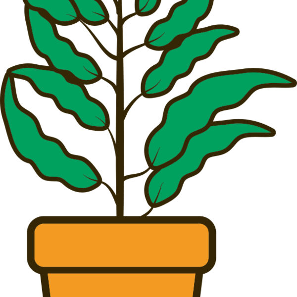 Plant 2 Miniaturansicht