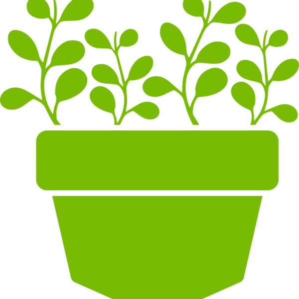Succulent Plant 3 Miniaturansicht