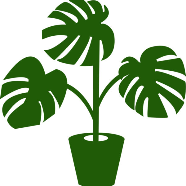 Plant Miniaturansicht