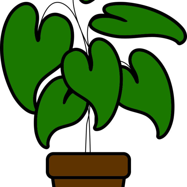 Plant Miniaturansicht