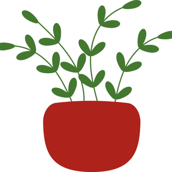 Plant 3 Miniaturansicht