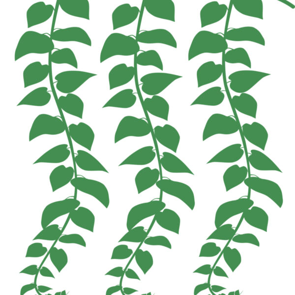 Hanging Plants Miniaturansicht