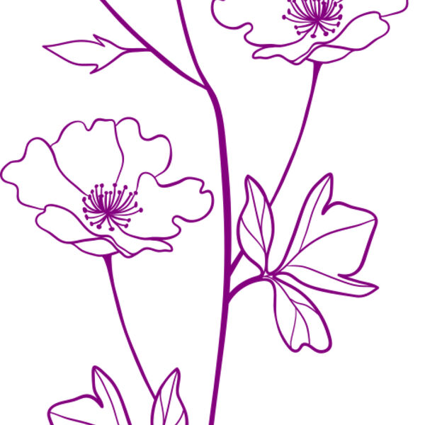 Flower 8 Miniaturansicht