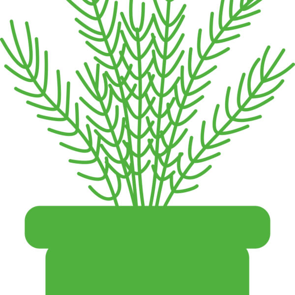 Herb Miniaturansicht
