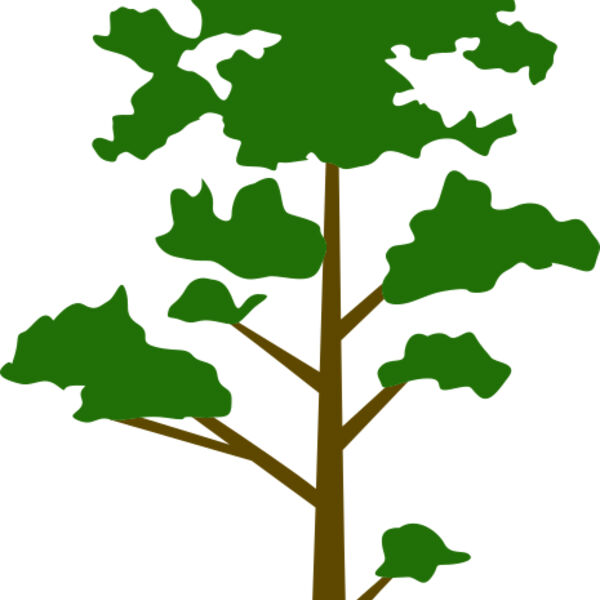 Tree Plant 8 Miniaturansicht