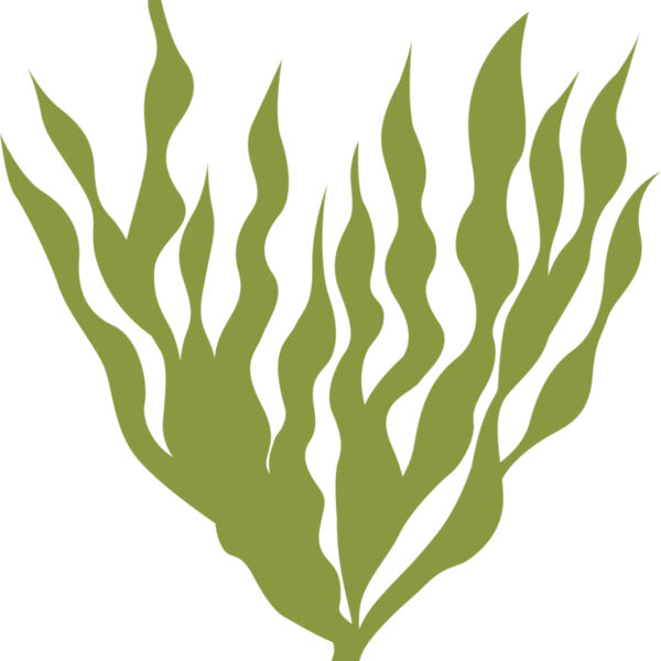Sea Plants 5 Miniaturansicht