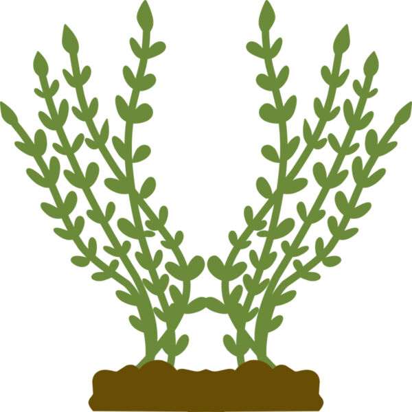 Plants 4 Miniaturansicht