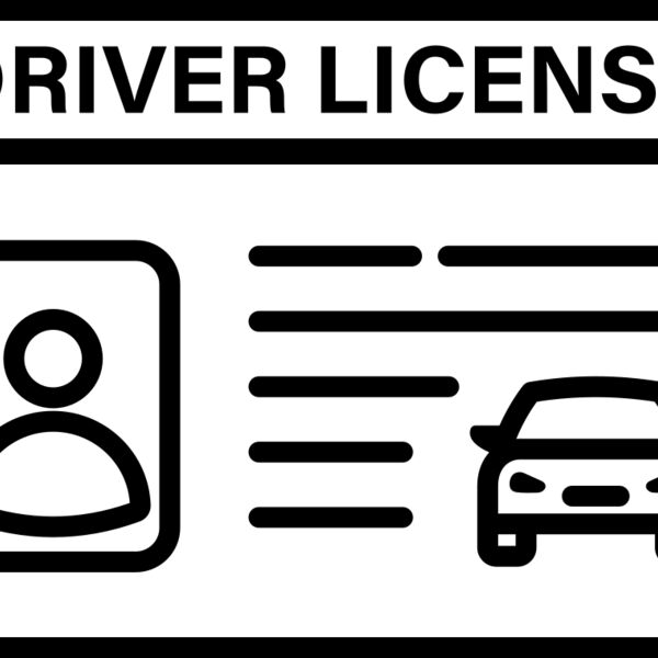 Driver s License Miniaturansicht