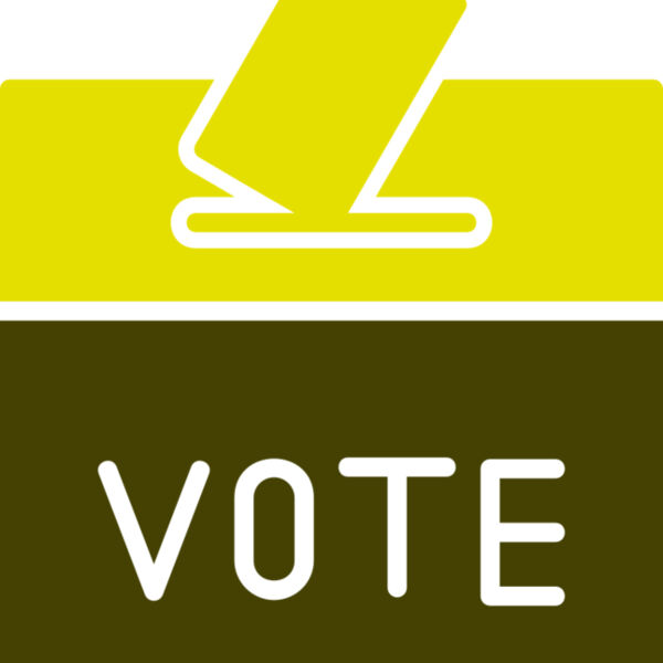 Voting 2 Miniaturansicht
